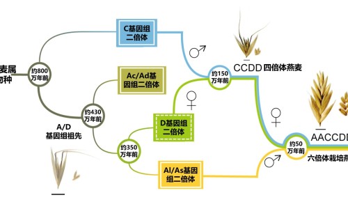 眼肌麻痹针灸之后病情加重-眼肌麻痹针灸多久有效果网-分享眼肌麻痹打什么针，扎针治疗眼肌麻痹知识库