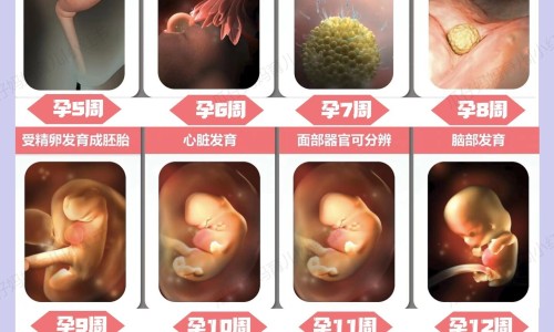 眼肌麻痹针灸多久有效果网-分享眼肌麻痹打什么针，扎针治疗眼肌麻痹知识库