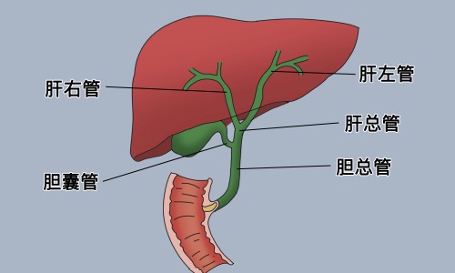 眼肌麻痹针灸哪些穴位-眼肌麻痹针灸多久有效果网-分享眼肌麻痹打什么针，扎针治疗眼肌麻痹知识库